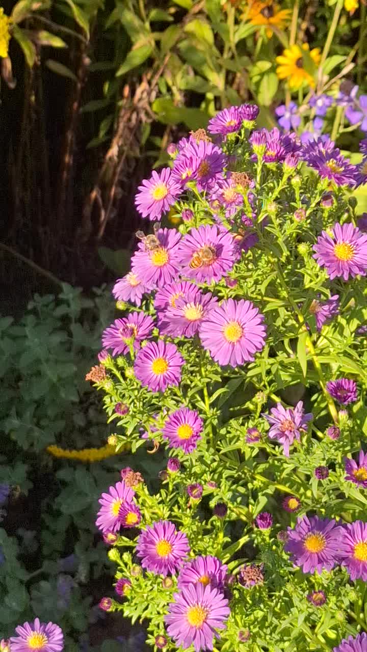 @Natur und Garten