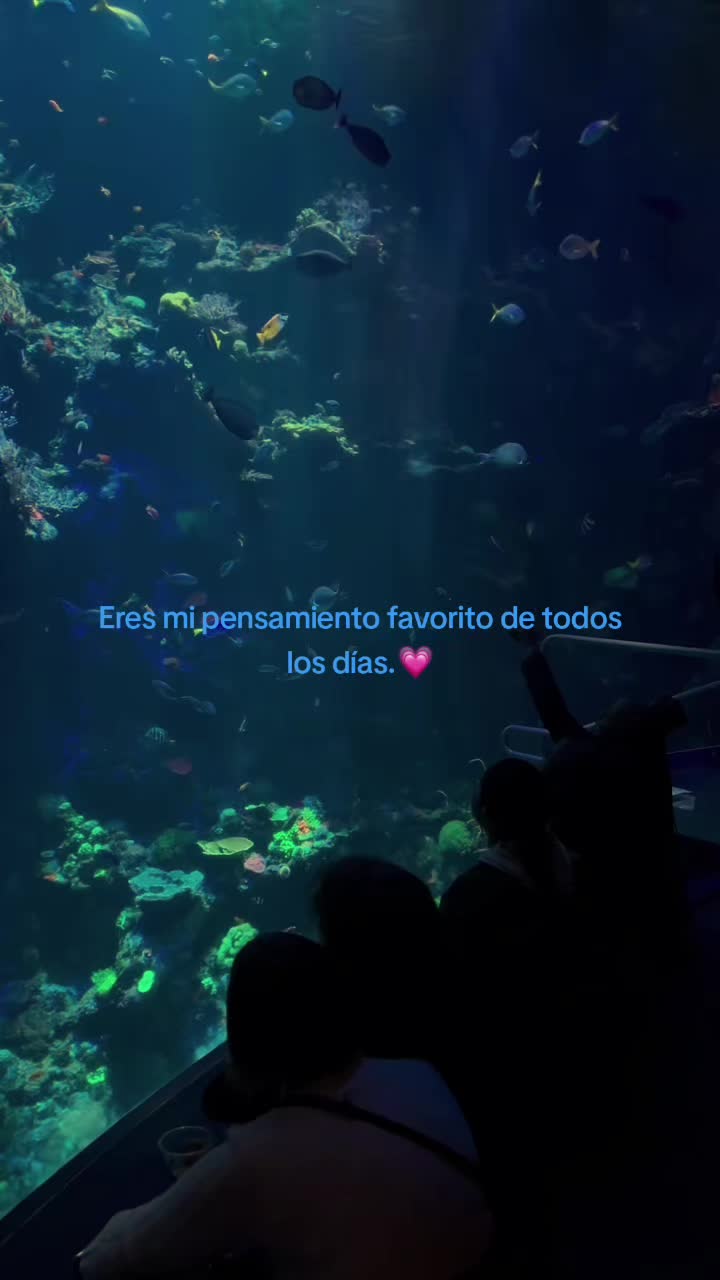 @✝️🍀𝐅𝐒 𝐎𝐒𝐂𝐀𝐑🐻✅