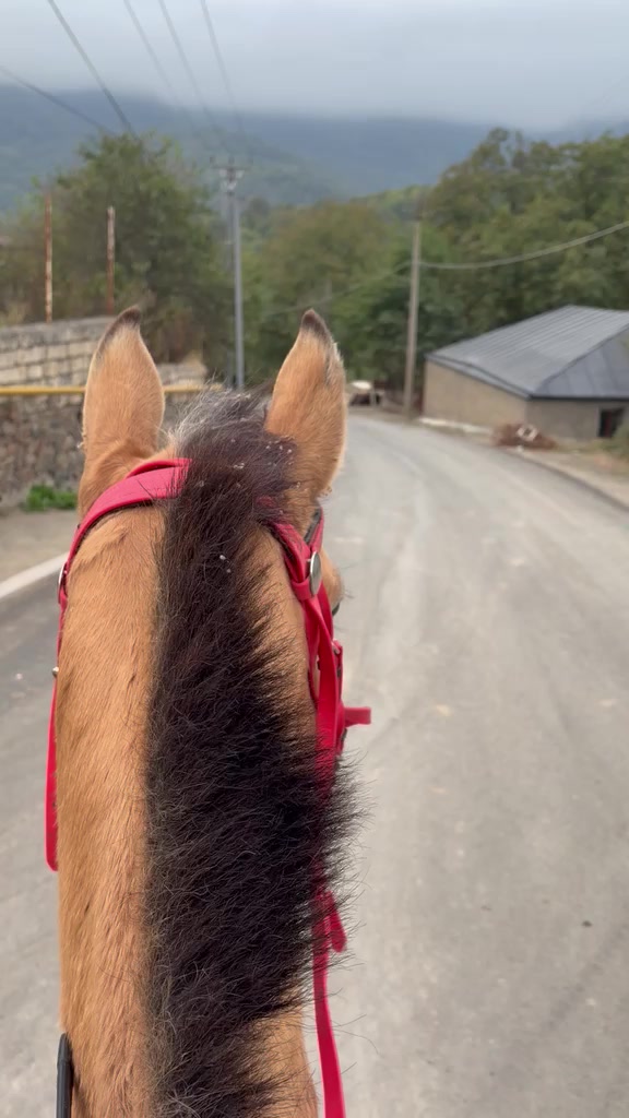 @Cefer_Qarabağlı