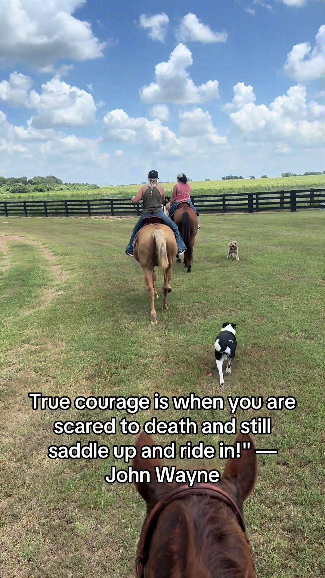 @bestlifetexas