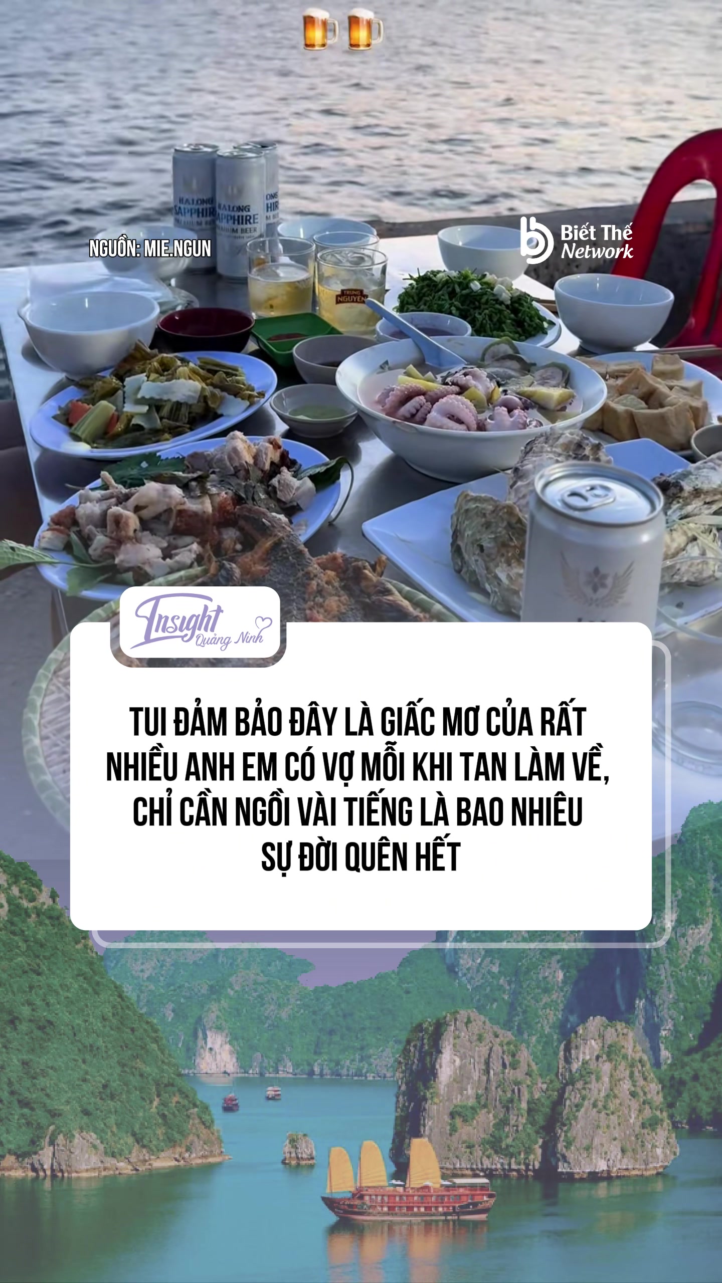 @Insight Quảng Ninh