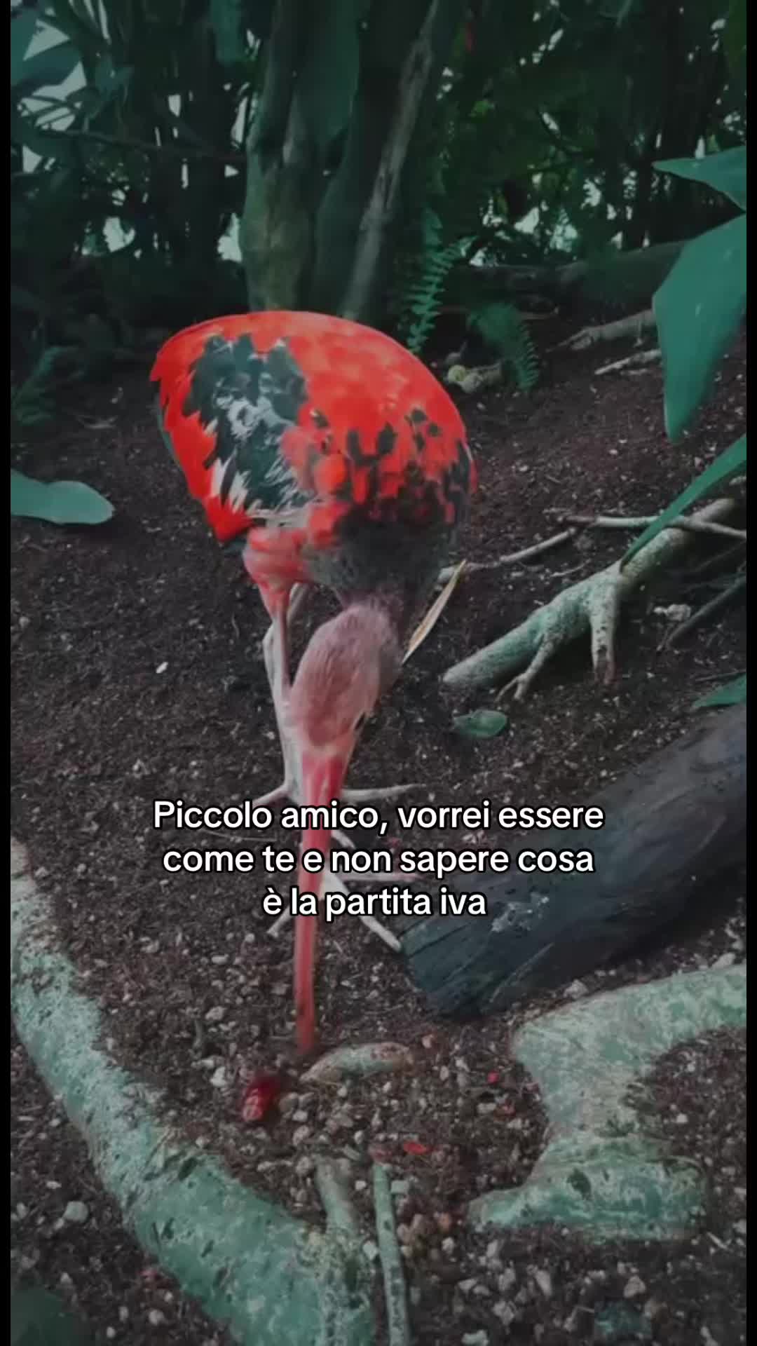 @Senzafiltro 4 life