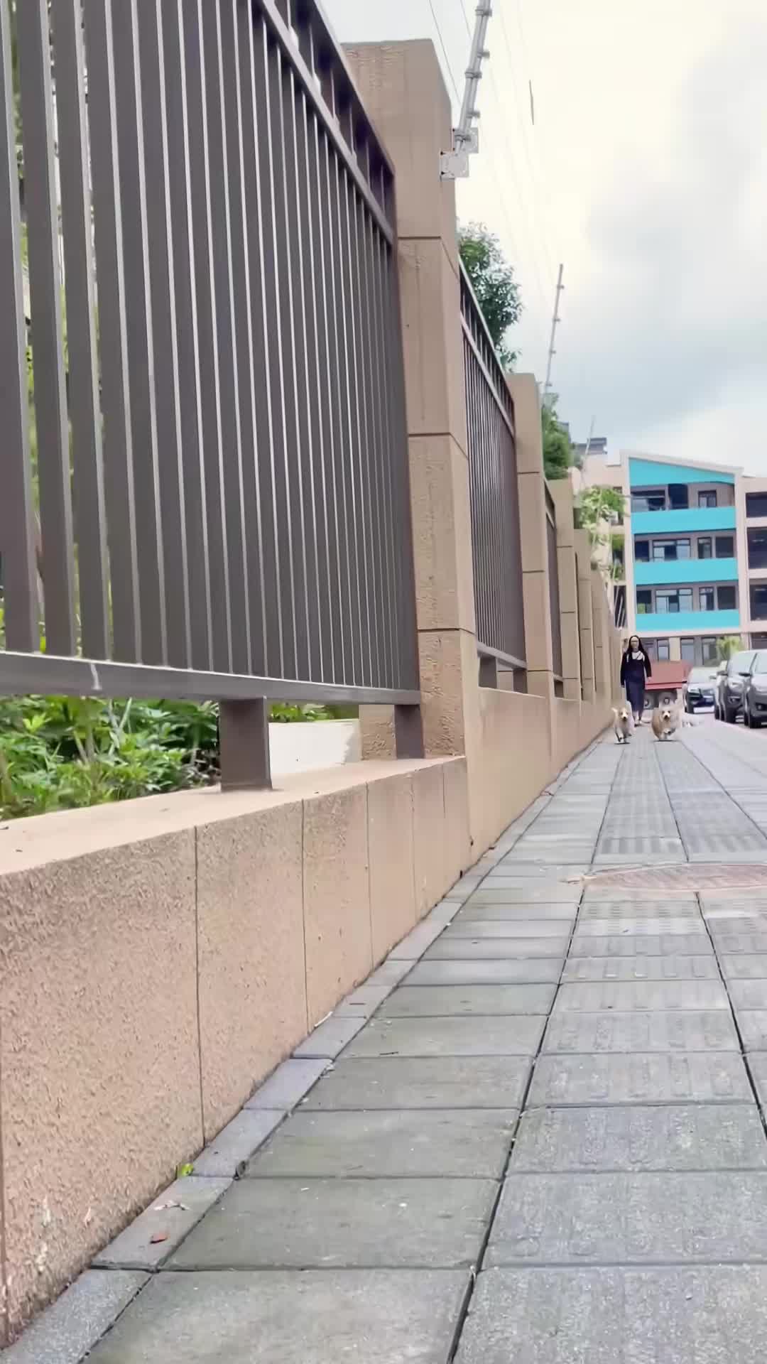 @SAY
