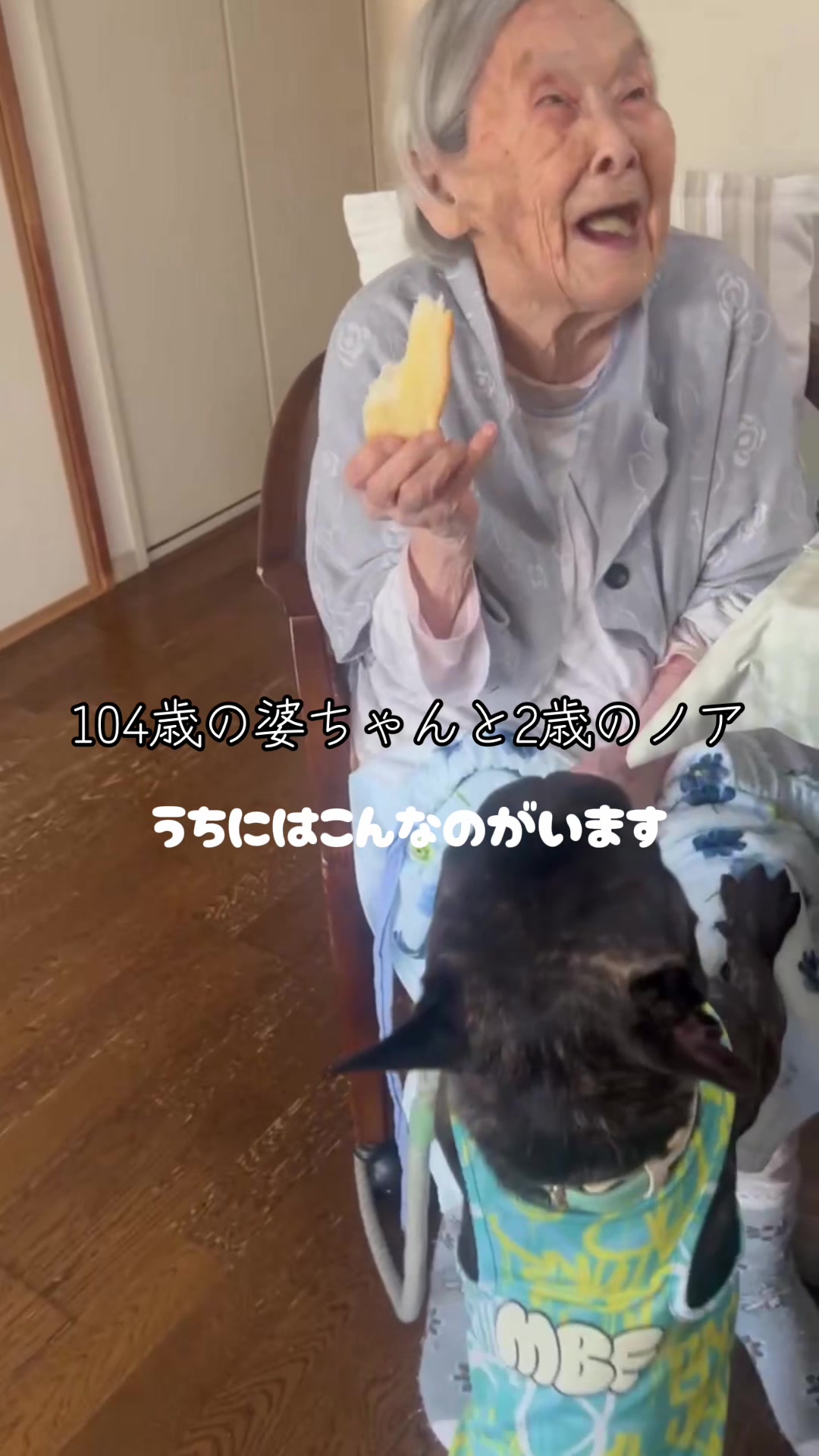 @ガーシー【GREED大頭】