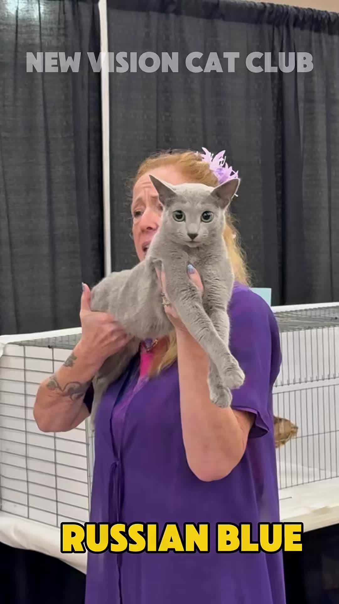 @NewVisionCatClub