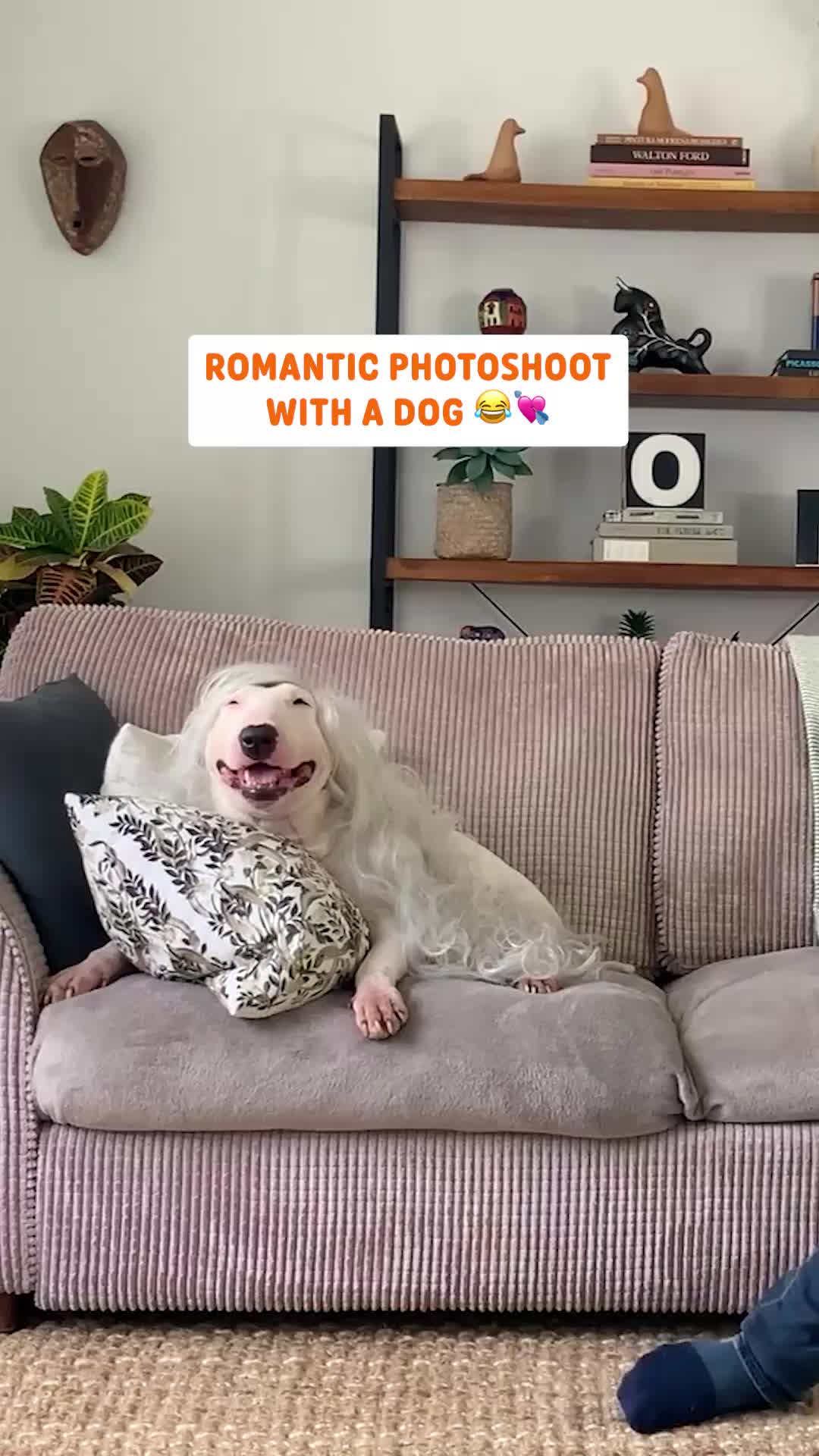@Pawsome Pets