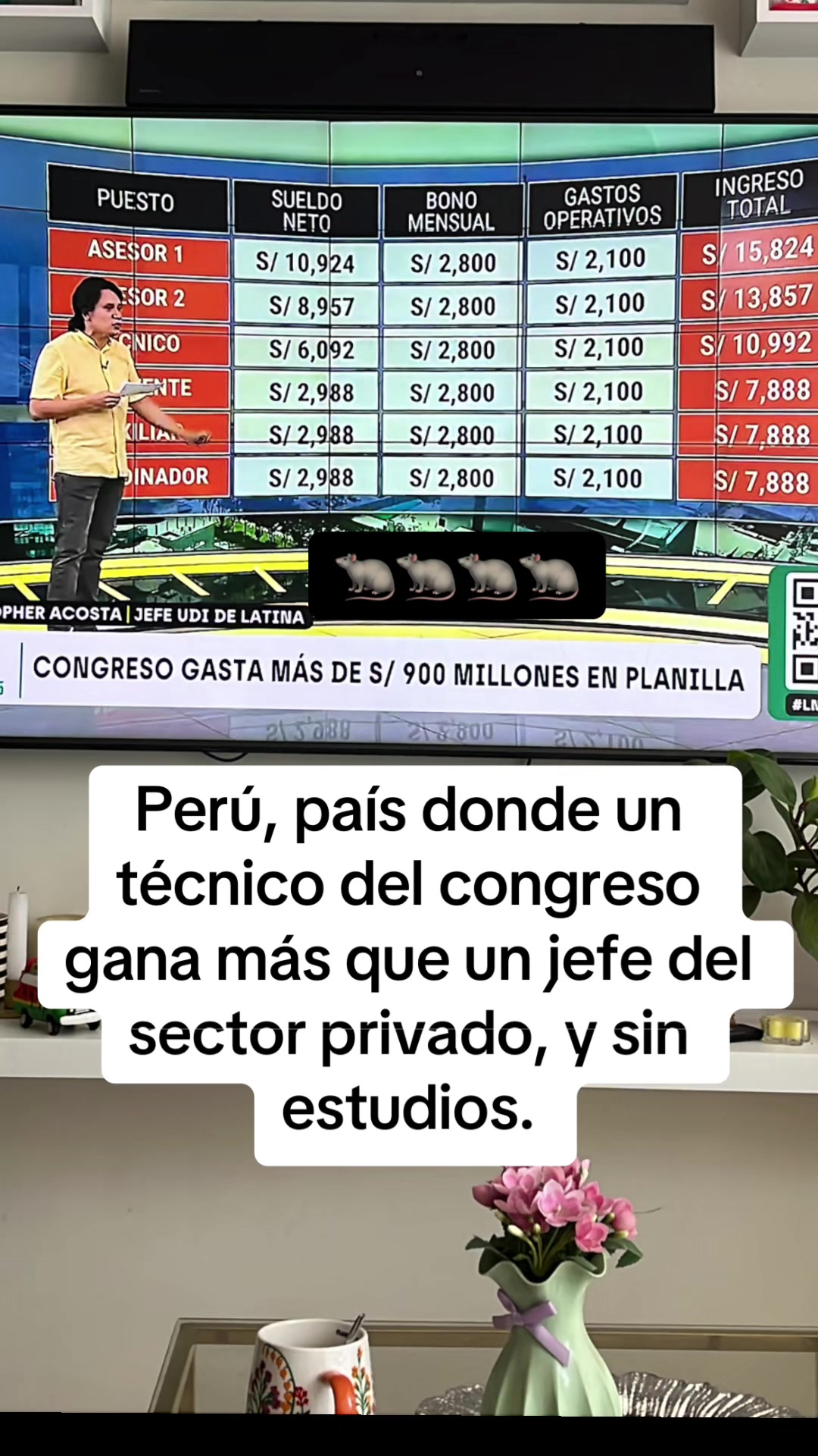 @Mapache