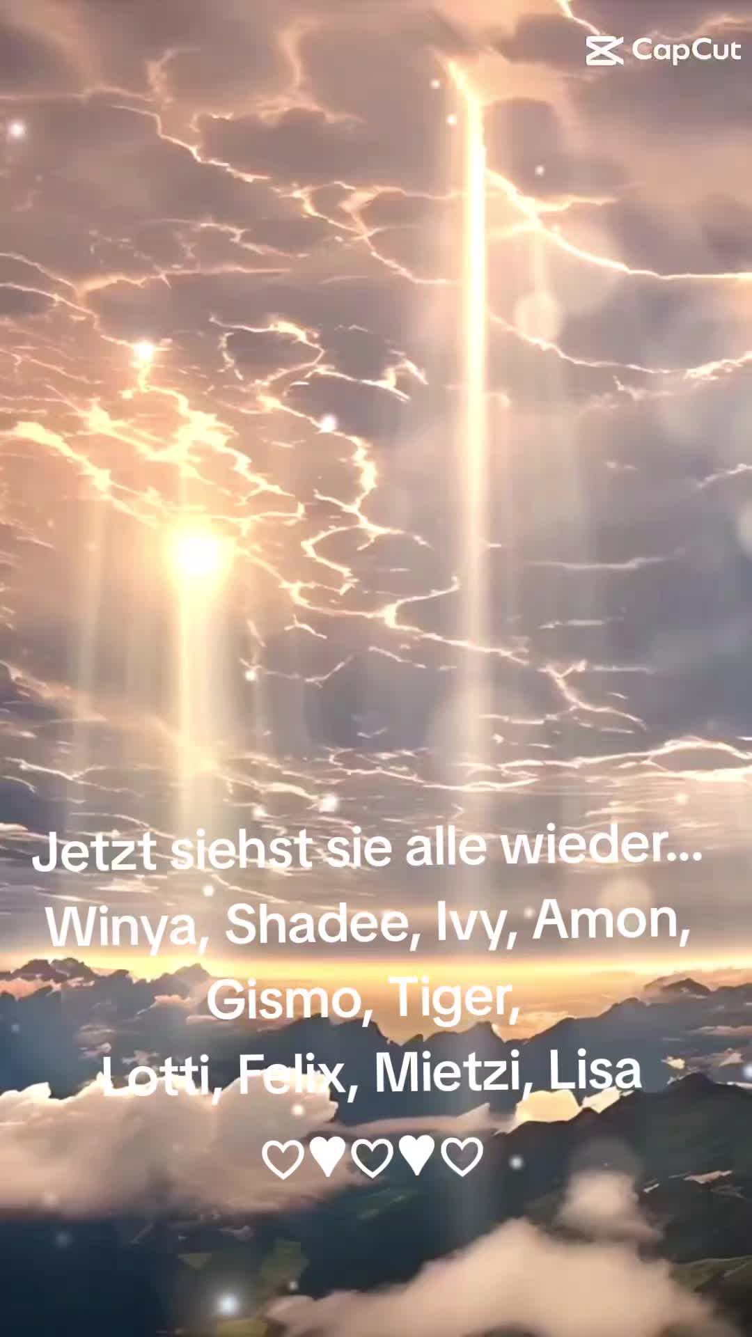 @hajuen59