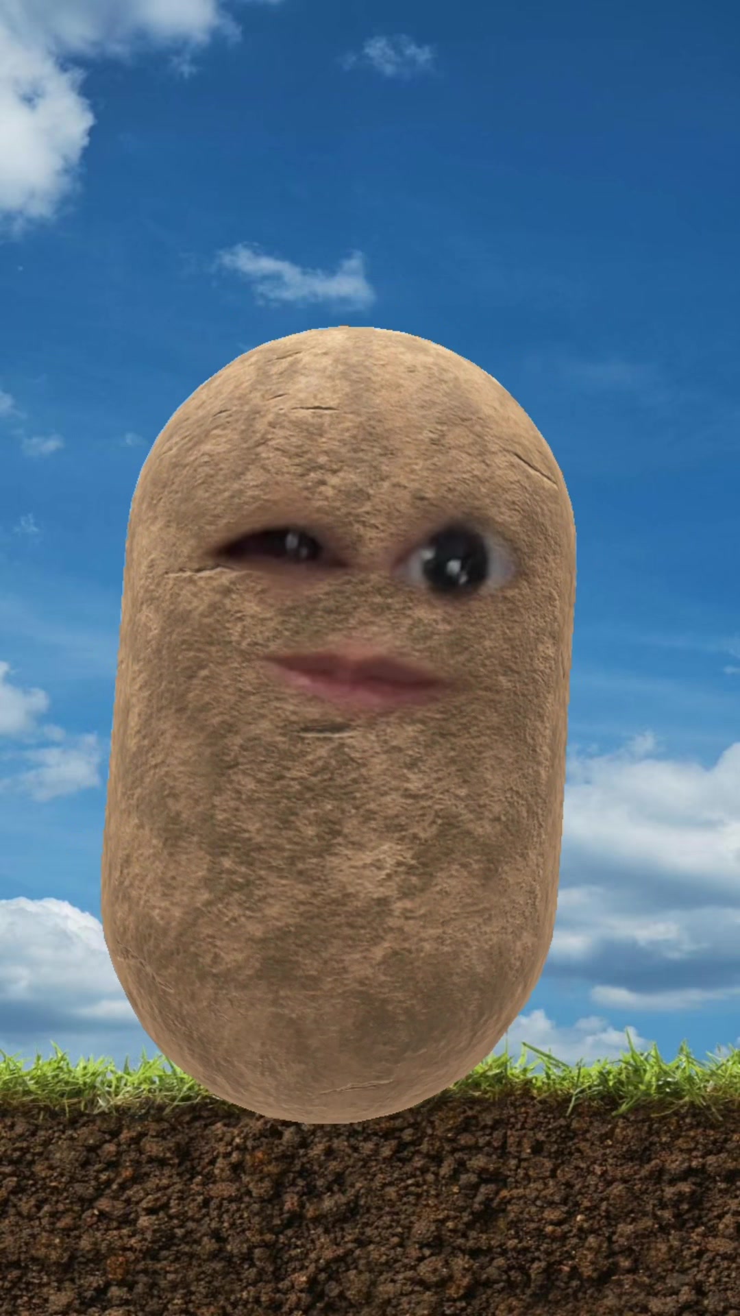 @Spudtacular8