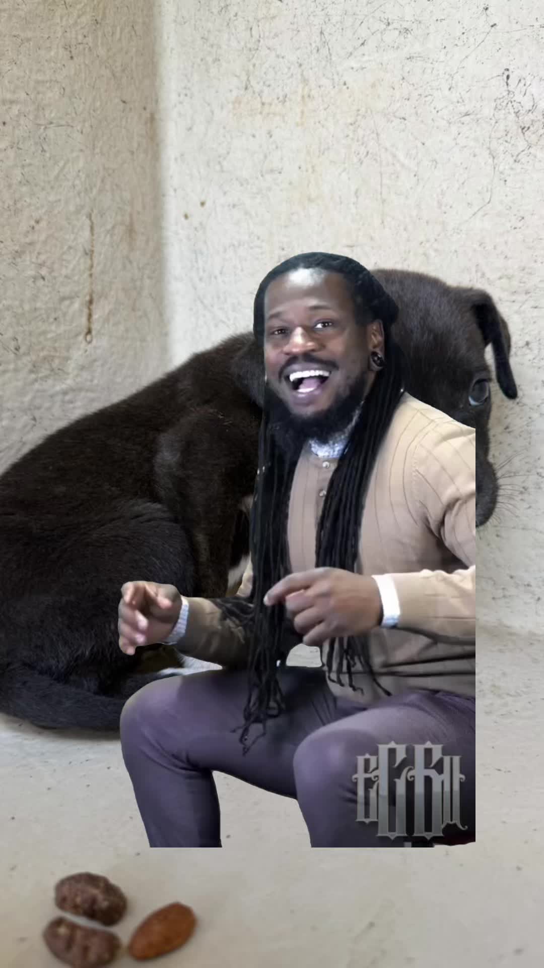 @AnimalWelfareGuy