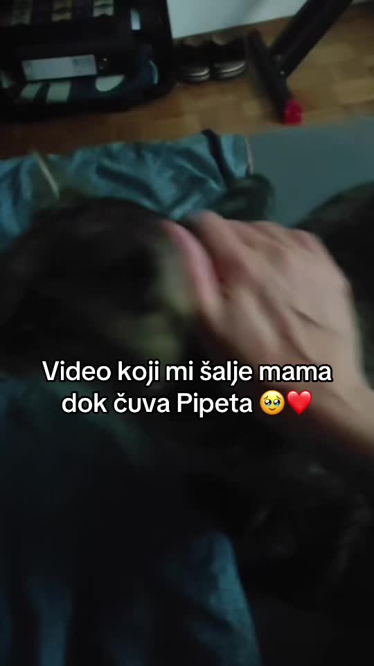 @leyla