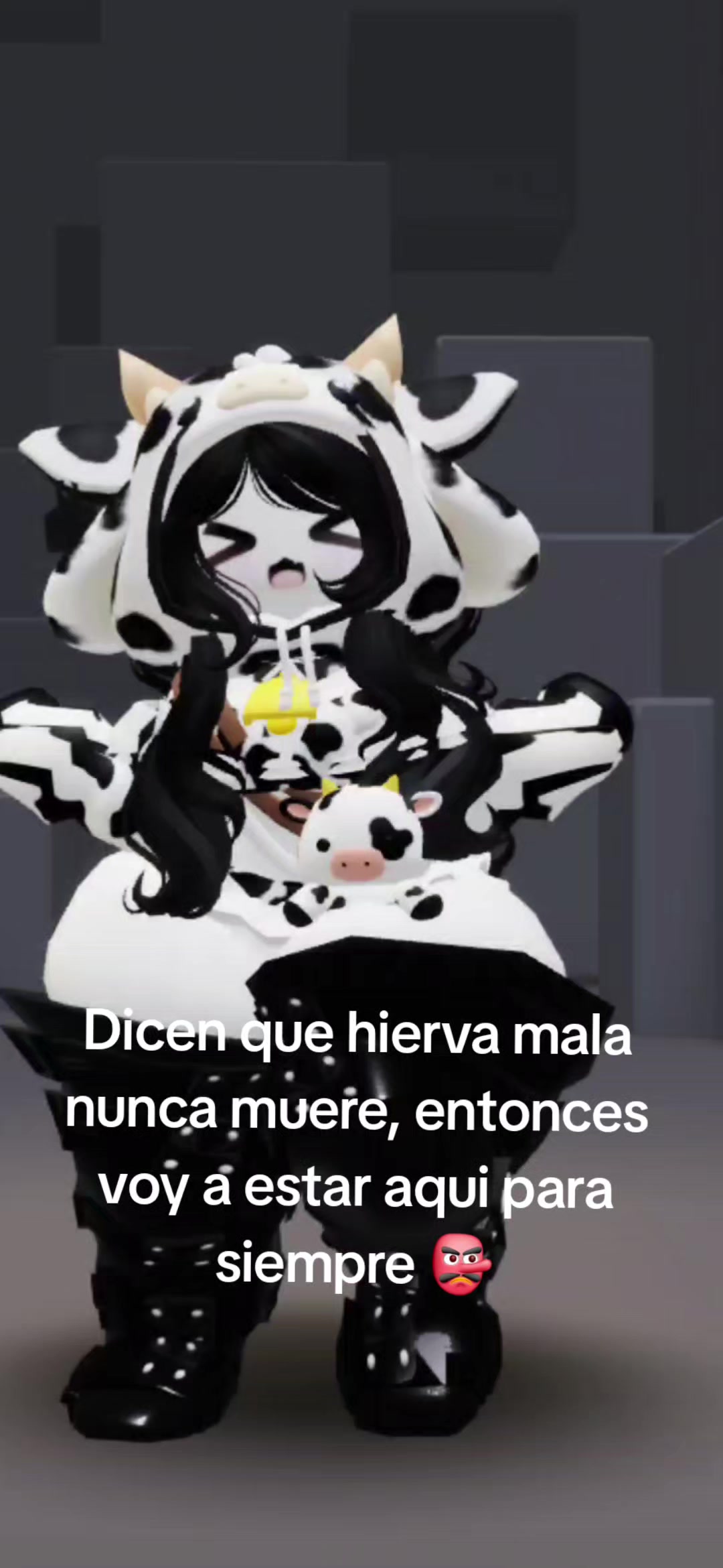 @Kashino_Chan