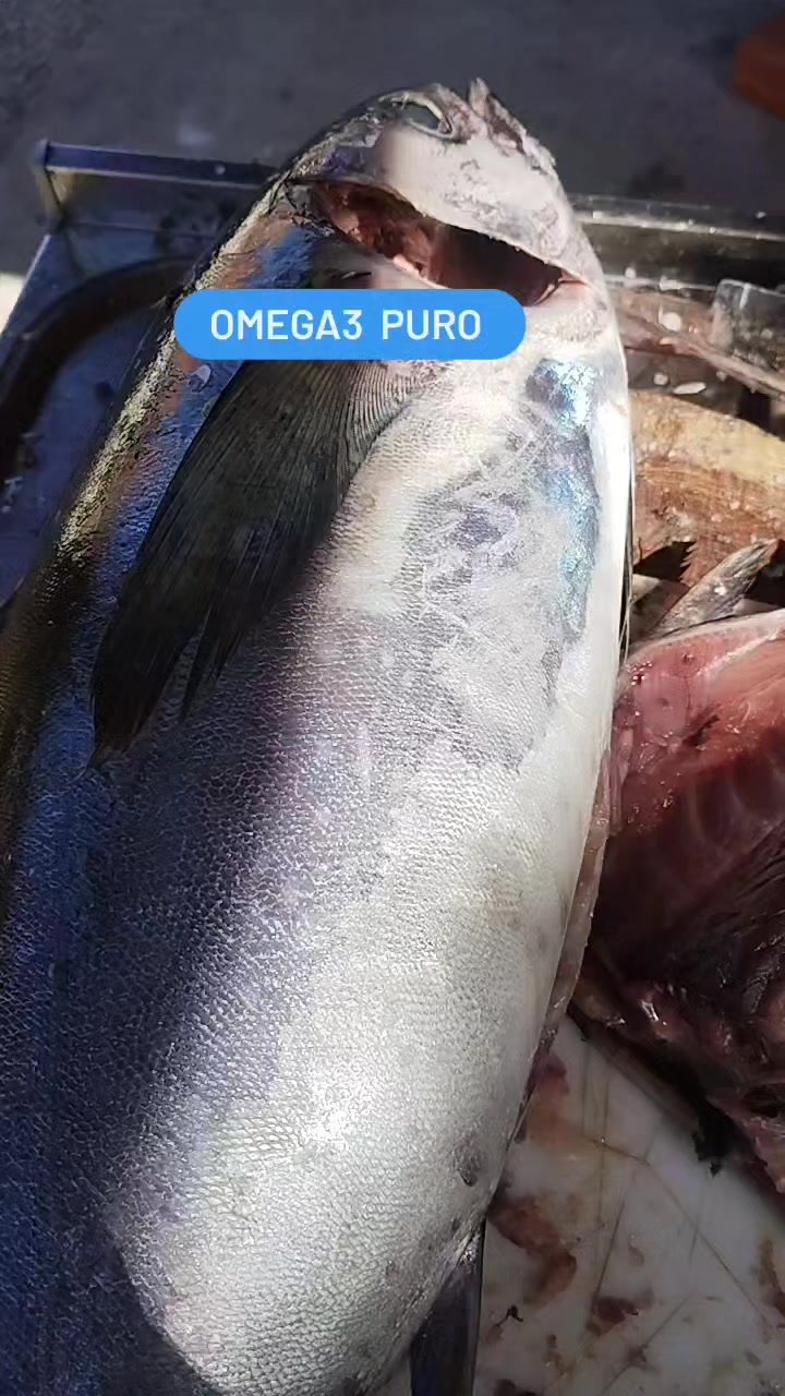@Diegoalves2313