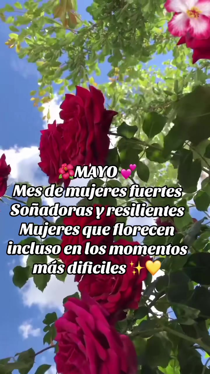 @deysigarcia5659