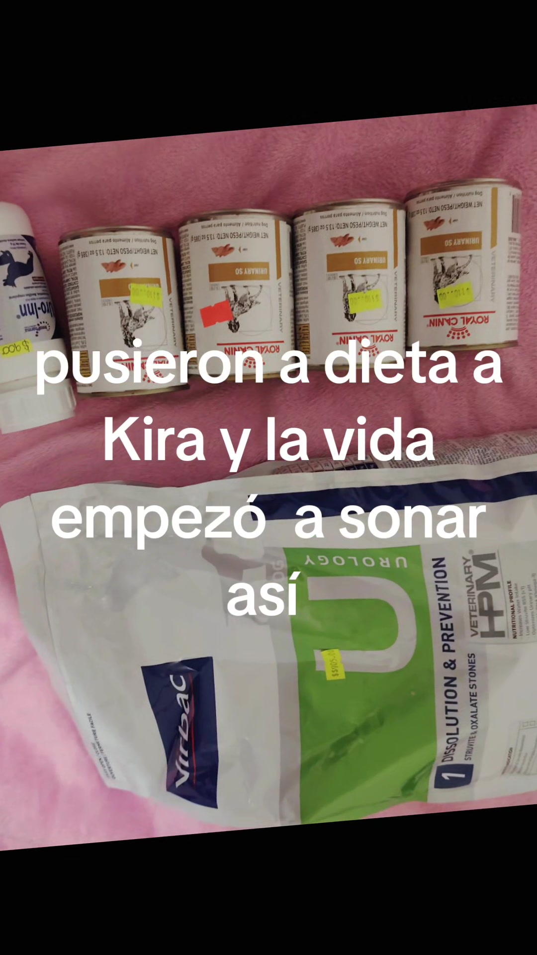 @samby