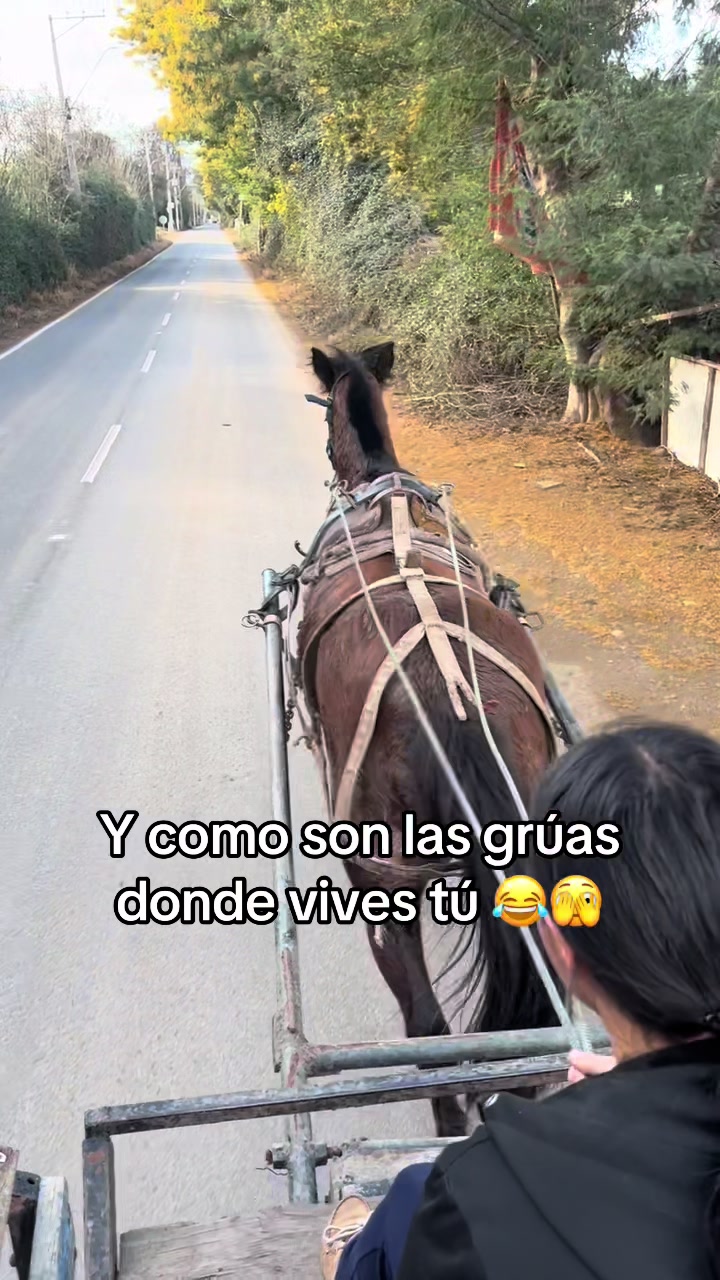 @francisca