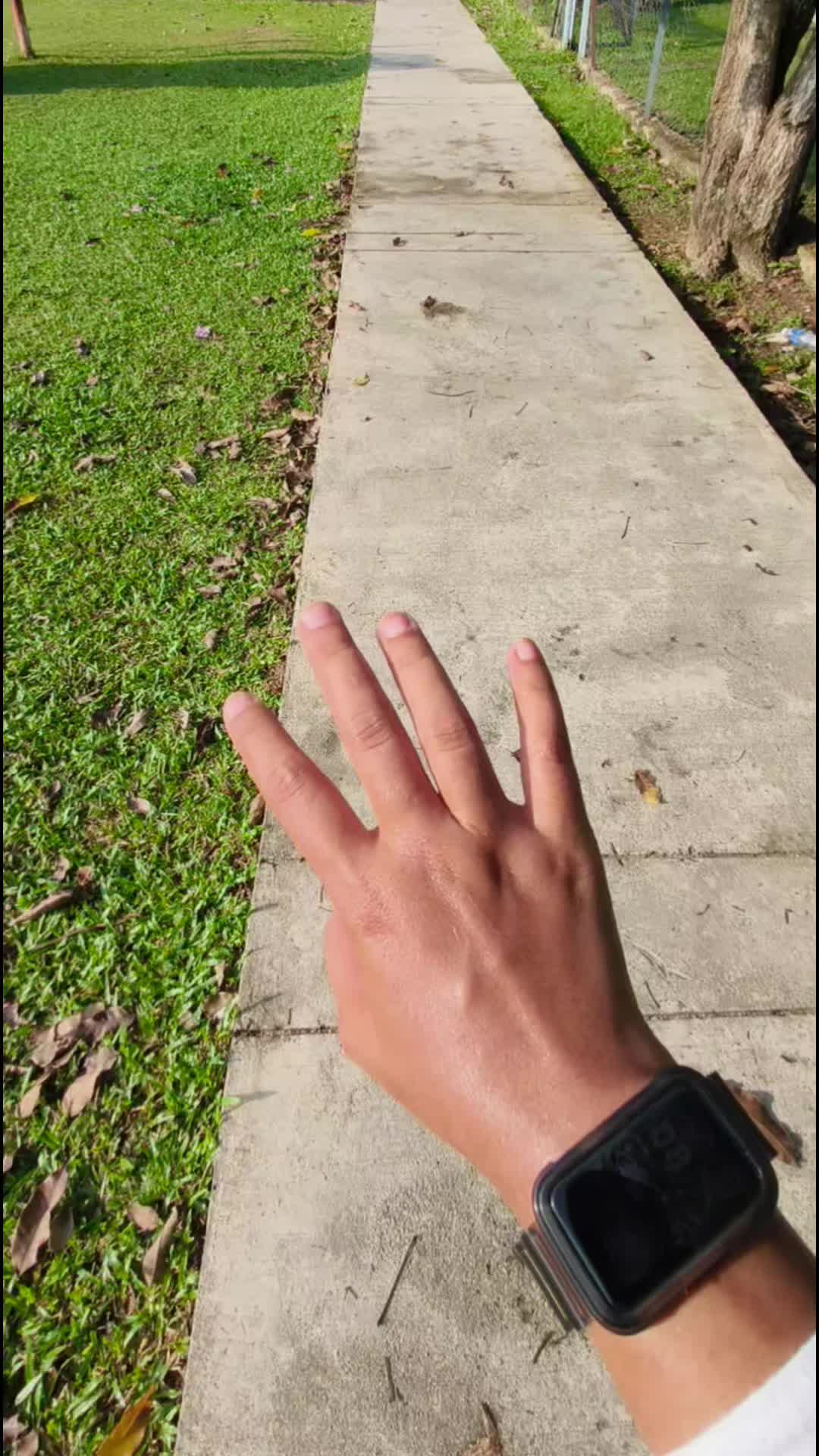 @tehah.zack