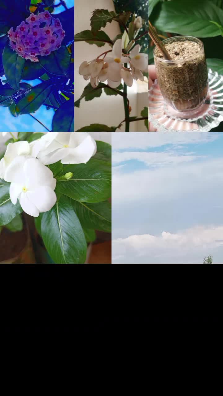 @ضوء القمر