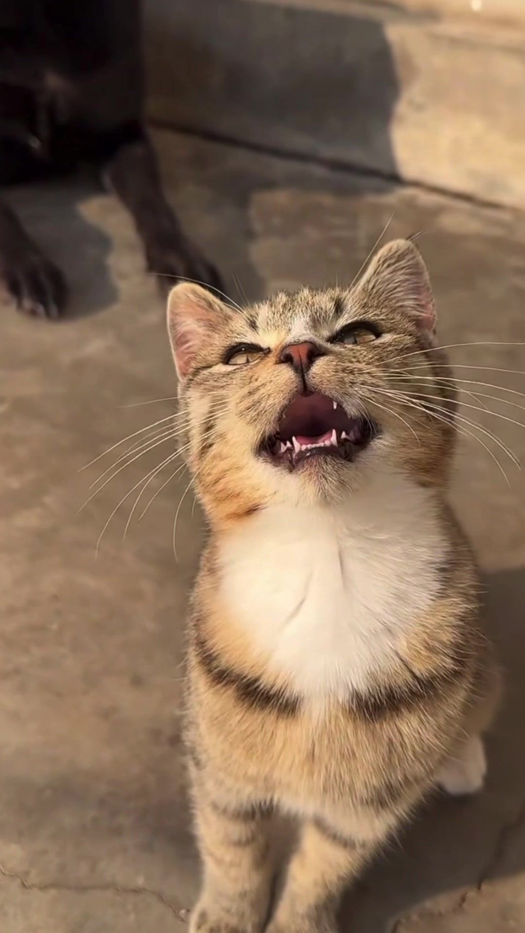 @My Daily Dose of Aww