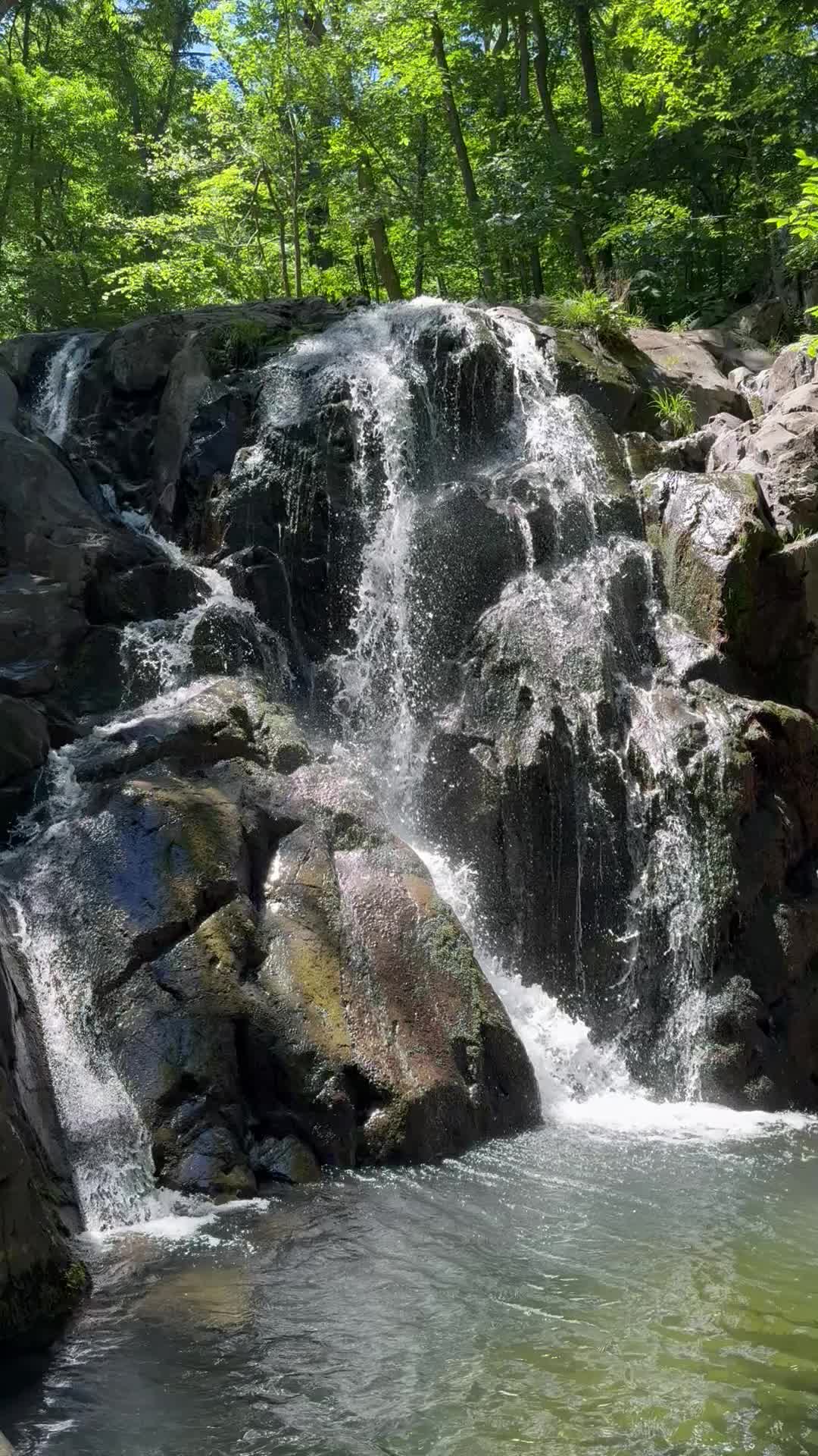 @आमा र जग्गुदिदी