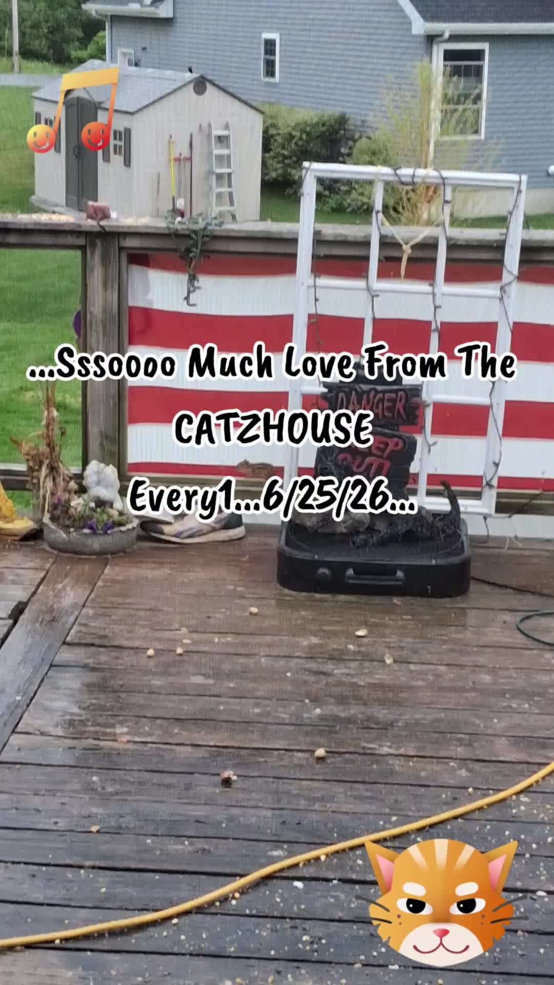 @Booh Hovey crazycatlady3