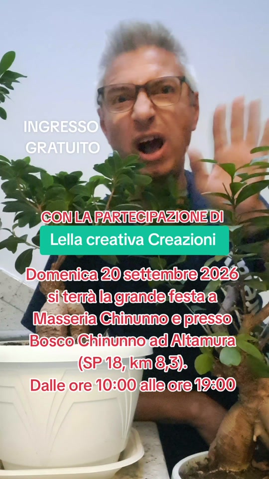 @mimmocreanza