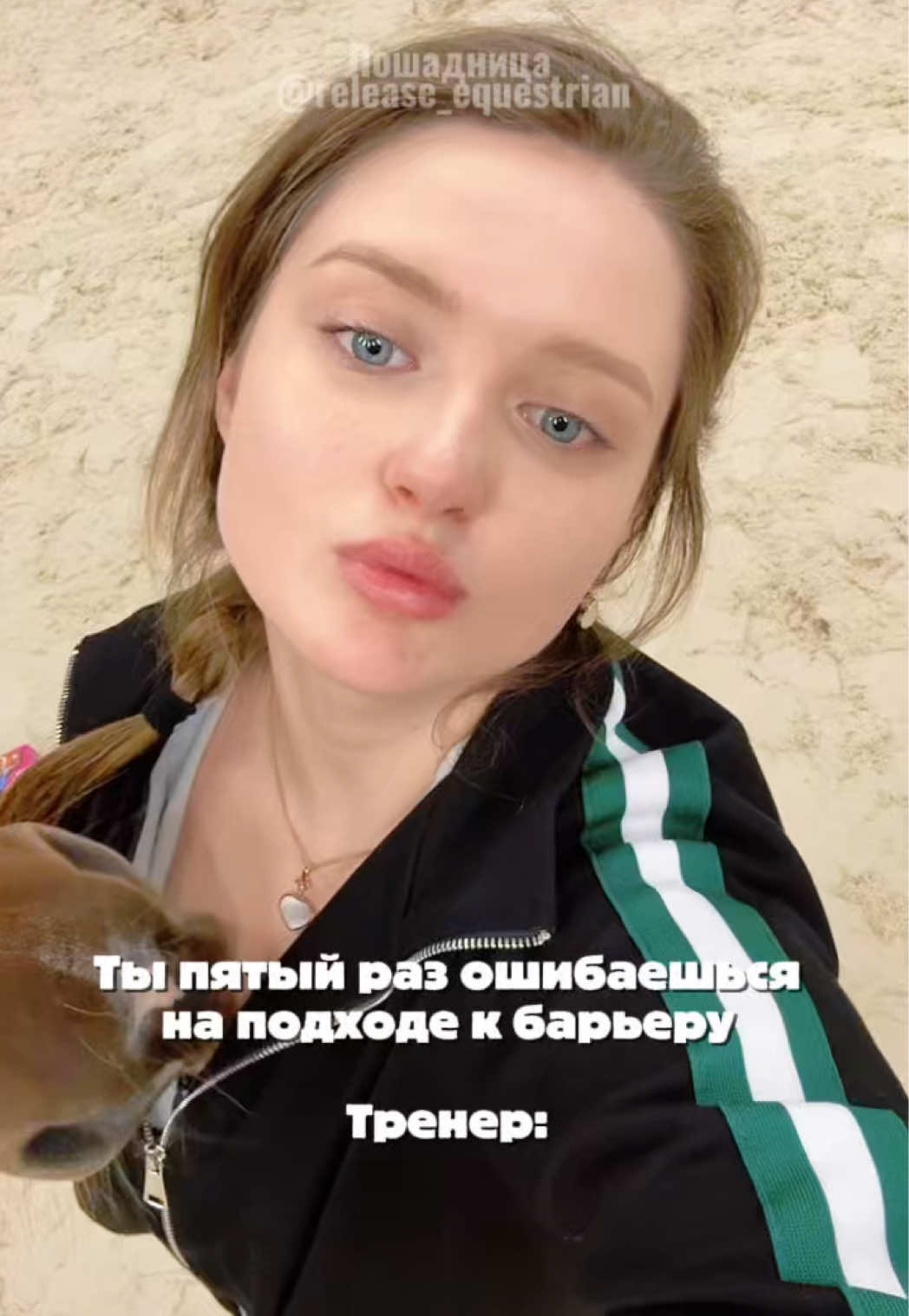 @Лошадница