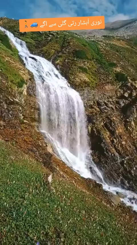 @sajid 786