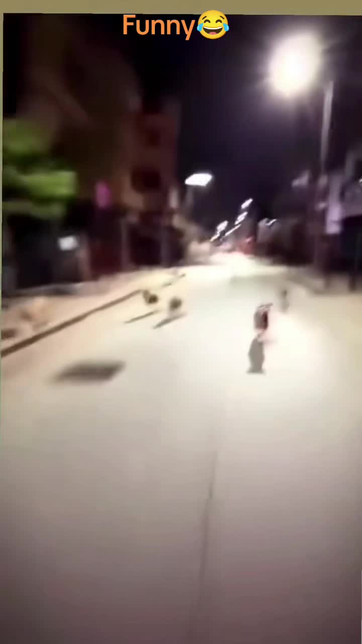 @King Shah🇦🇫🇾🇪 مجردانو مشر