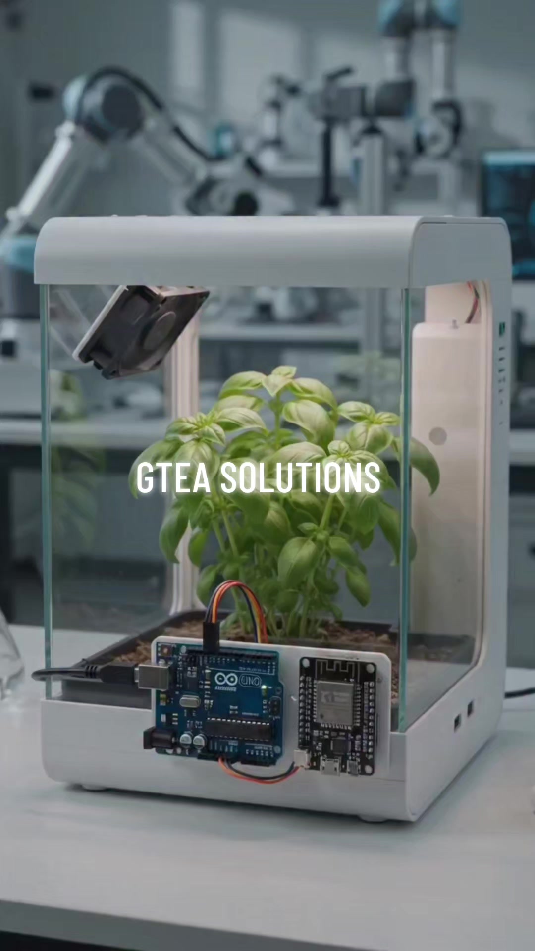 @GTEA