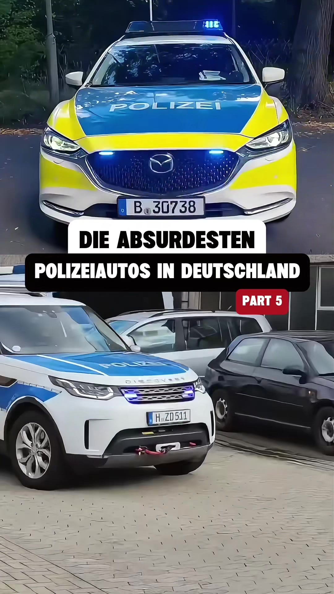 @auto.professor
