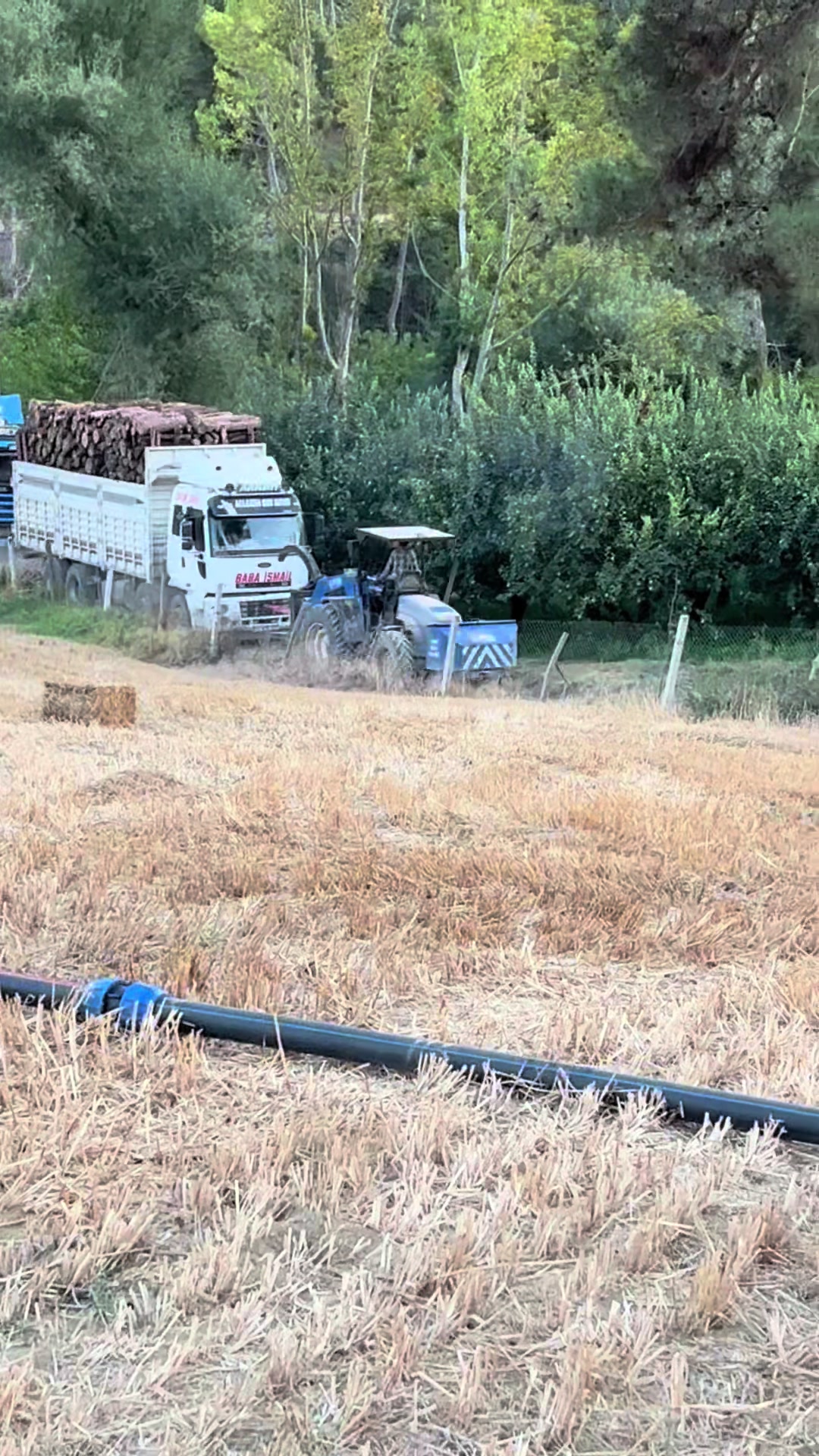 @Anıl yeni