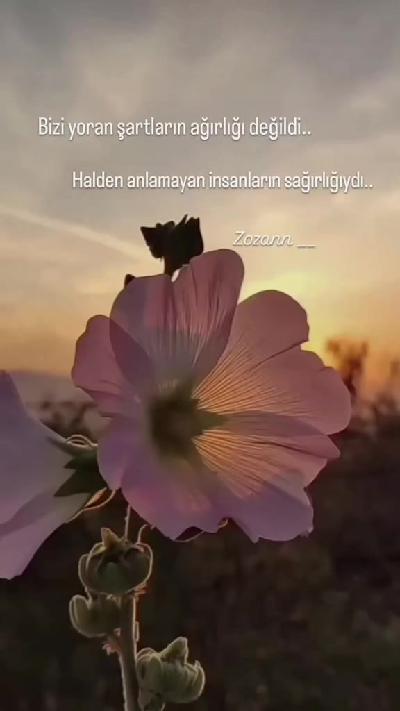 @ZOZAN