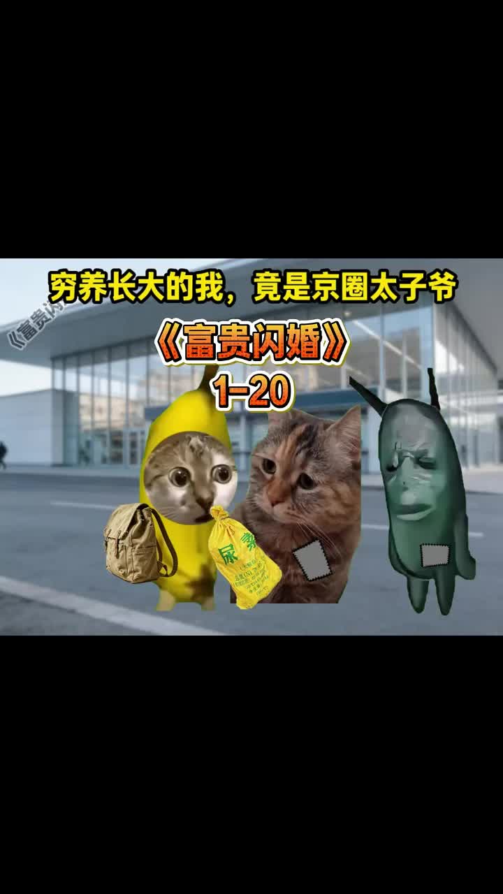 @catmeme4239