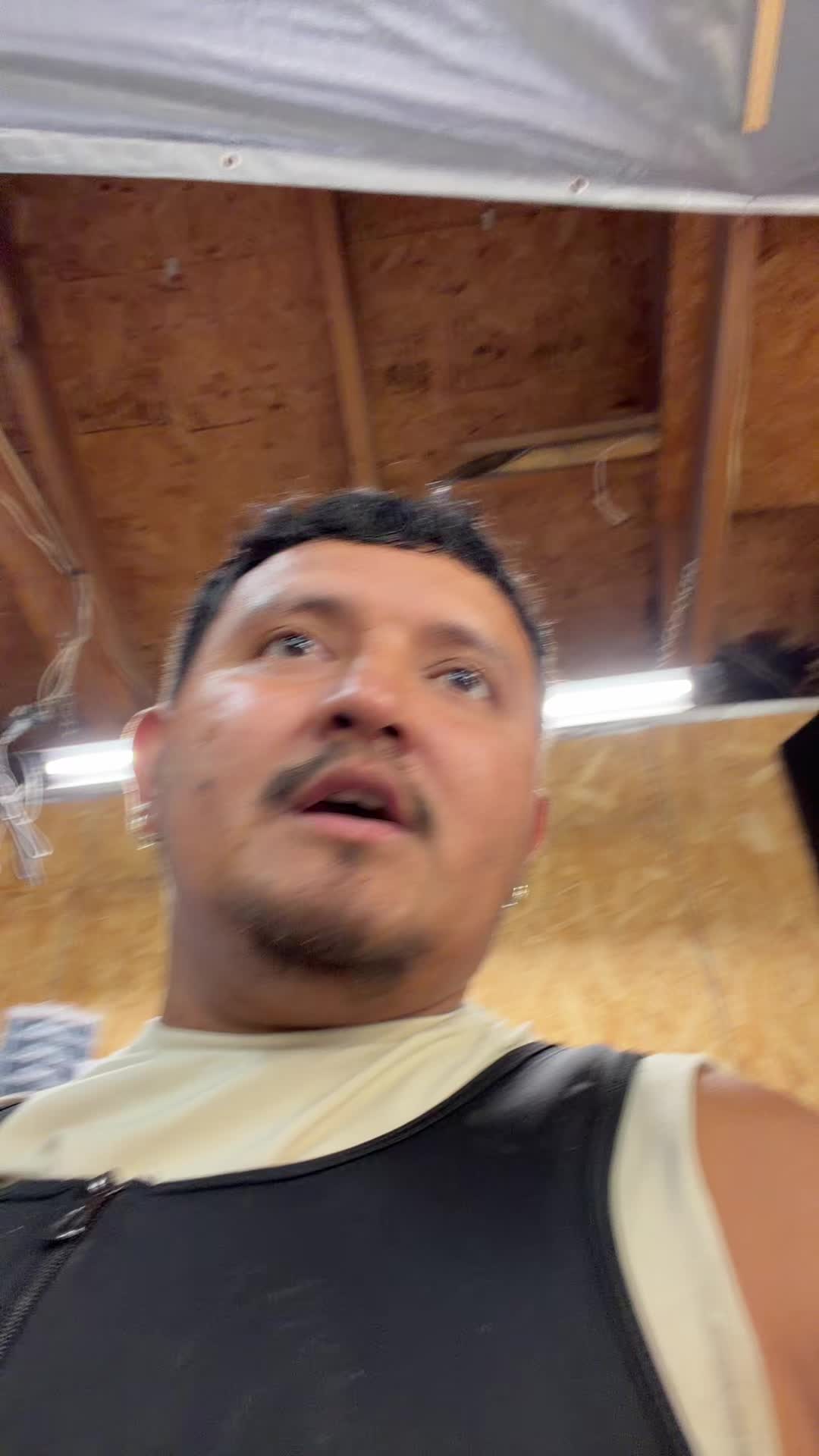 @FEDERIKO