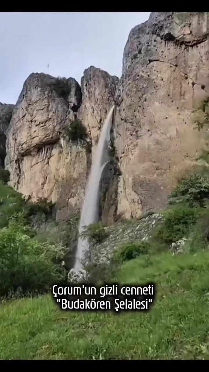 @Avrupadaki_Corumlular_19
