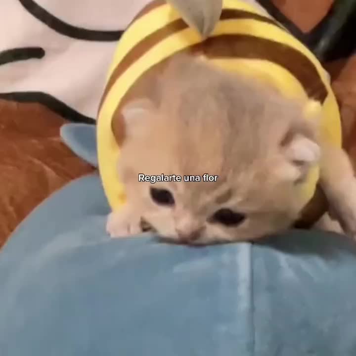 @𝒪𝓳𝓮𝓭𝓪𝓻𝓲𝓸