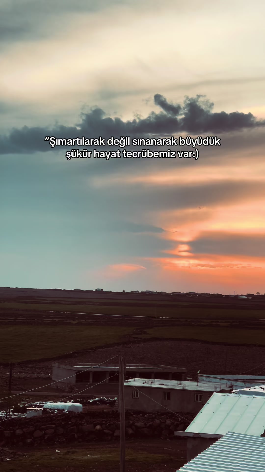 @𝘚𝘵𝘰𝘳𝘺 𝘚𝘢𝘺𝘧𝘢𝘮💫