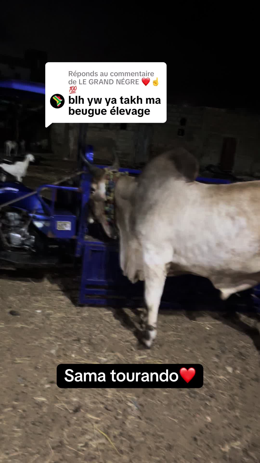 @Weuz🐄&Eacute;leveur saint Louis ❤️
