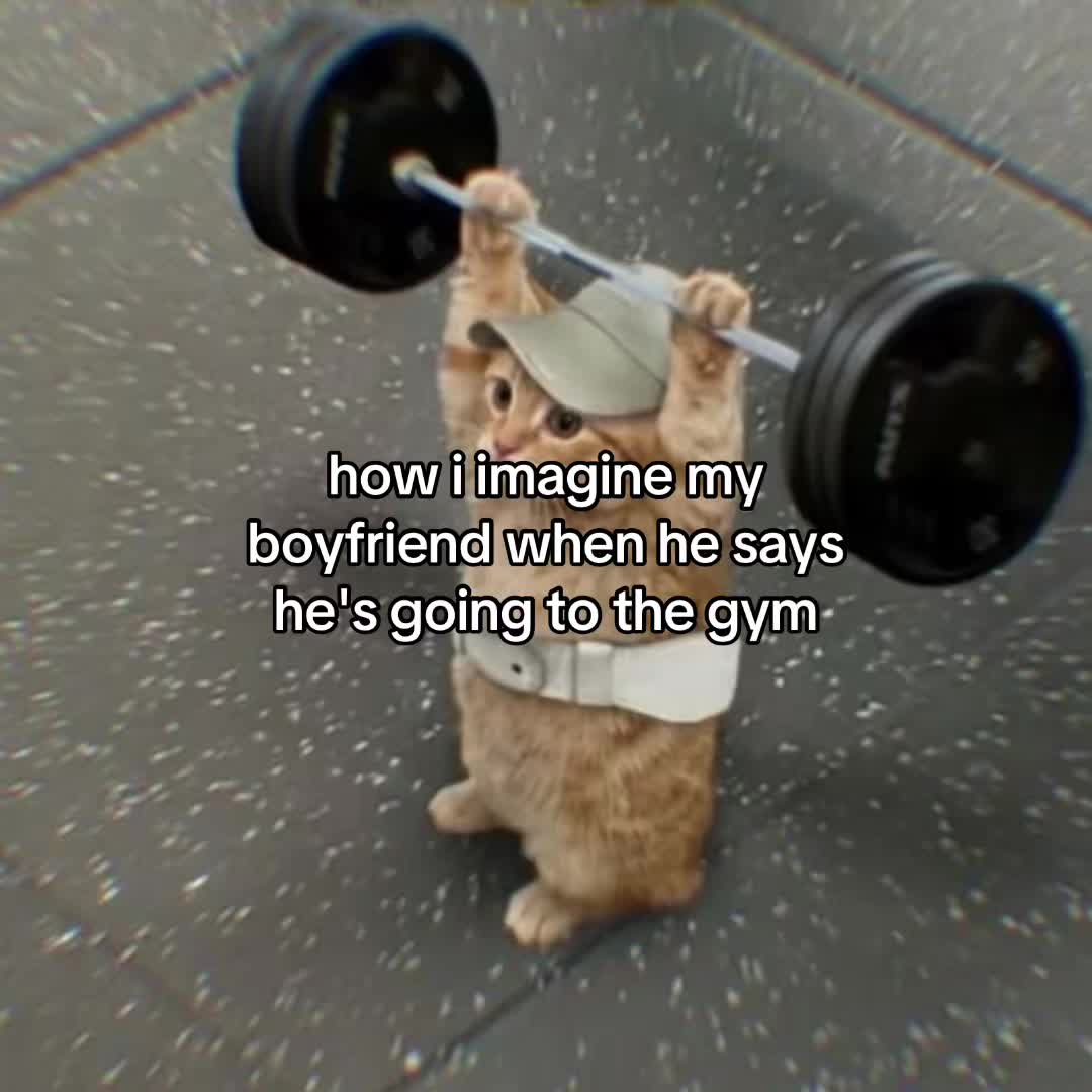 @Alice.cattok