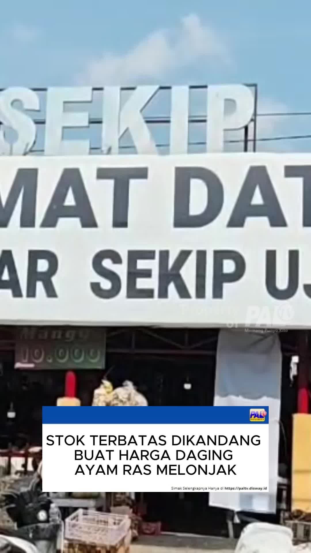 @Paltv-Memang Punyo Kito