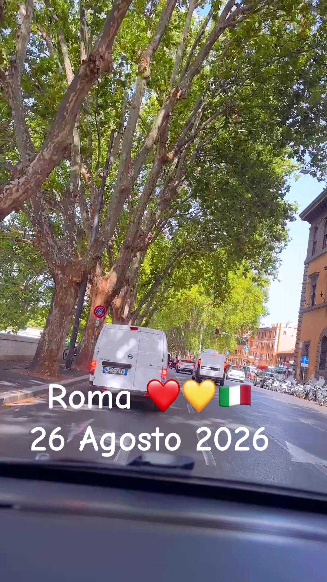 @♥️🐾💛Nina Barboncino ♥️🐾💛