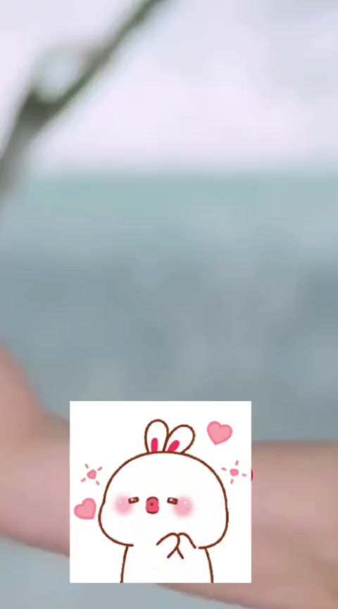 @pusteriawaty
