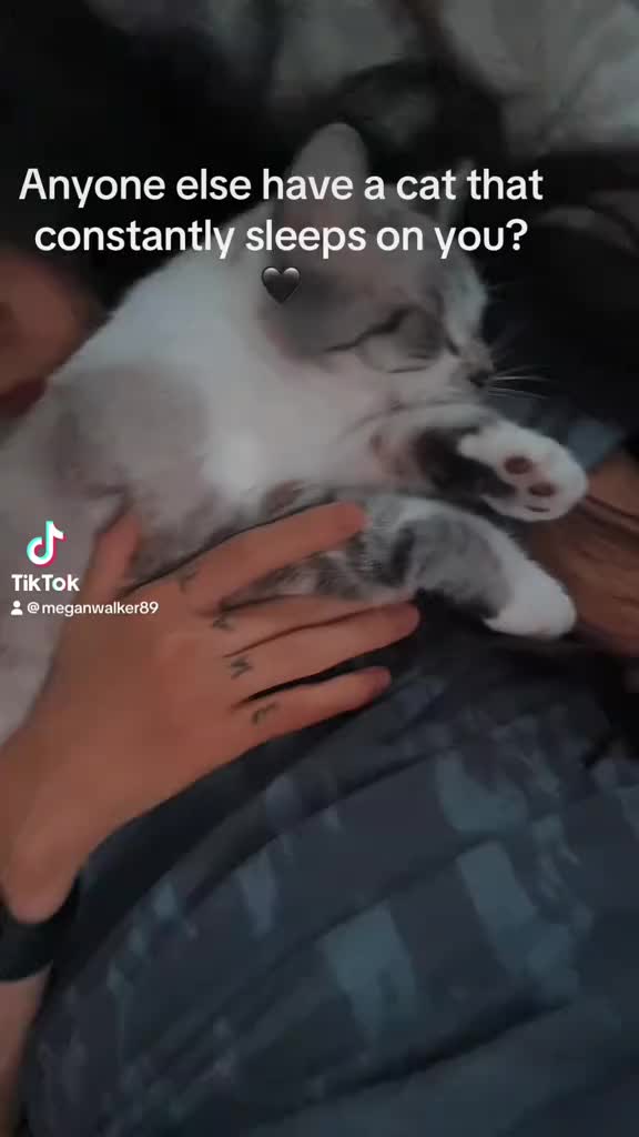@MegMeOut๐ค