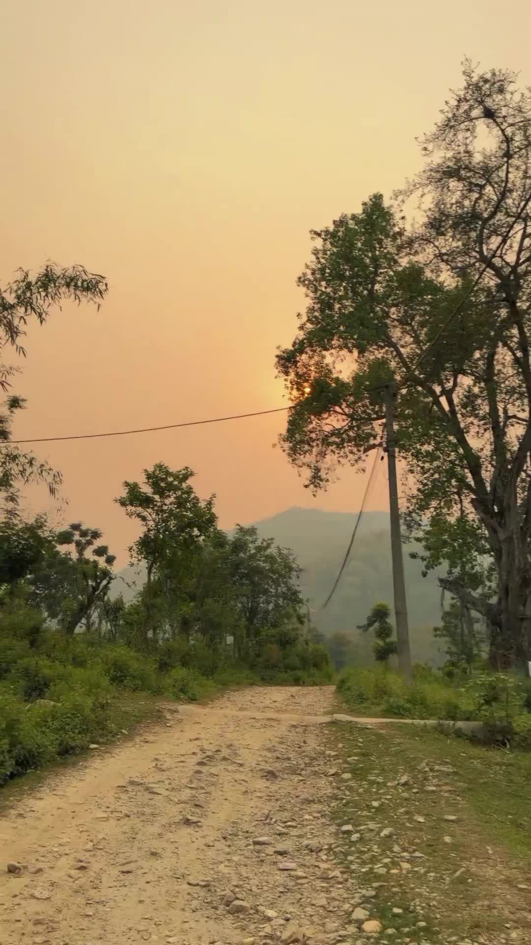 @𝐃𝐚𝐝𝐚 𝐋𝐚𝐢 𝐁𝐚𝐚𝐋