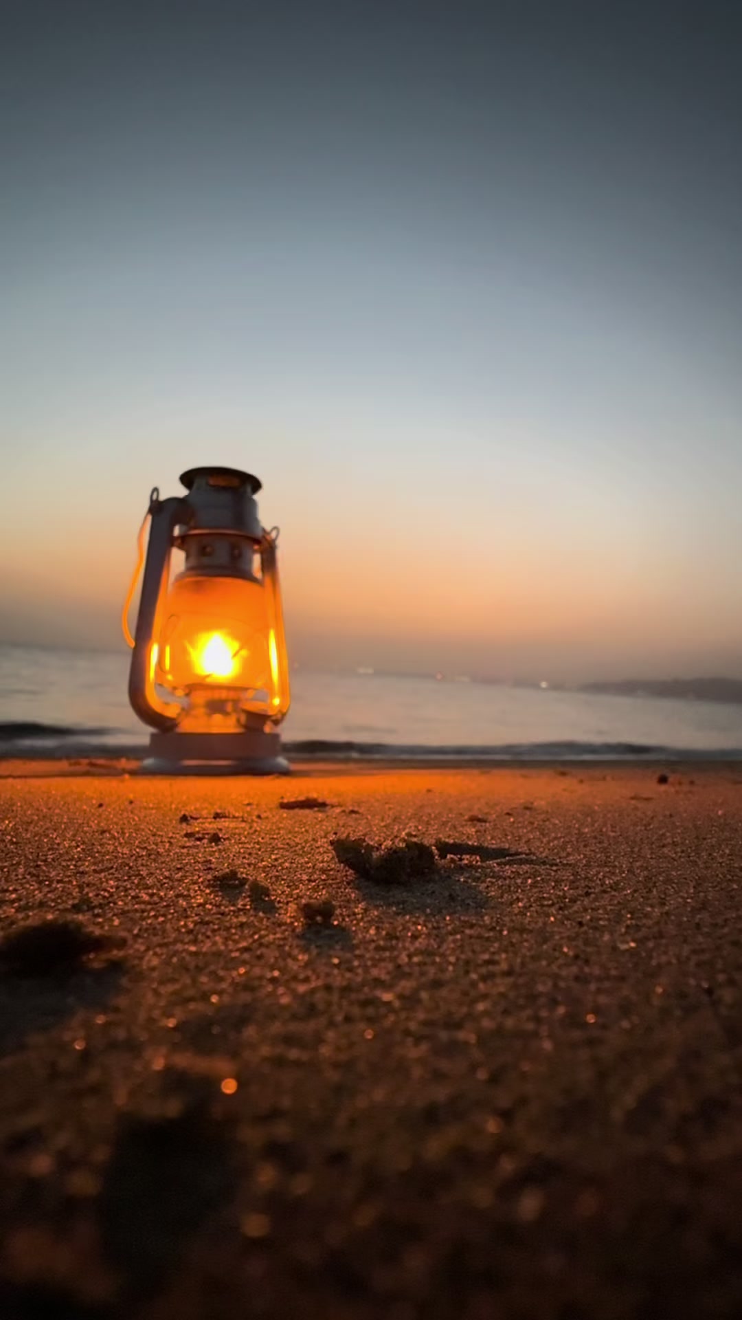 @🌅太郎🌊