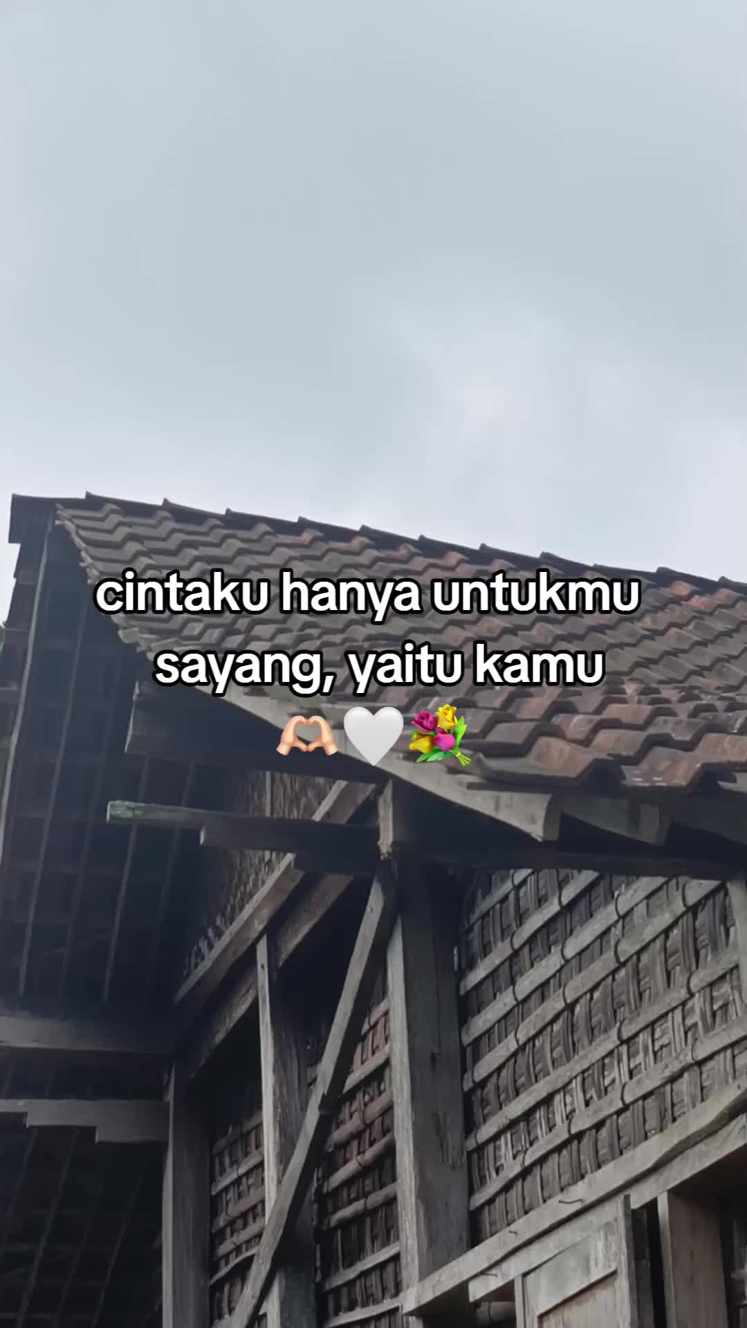 @IG @4dzxx²⁶⁰