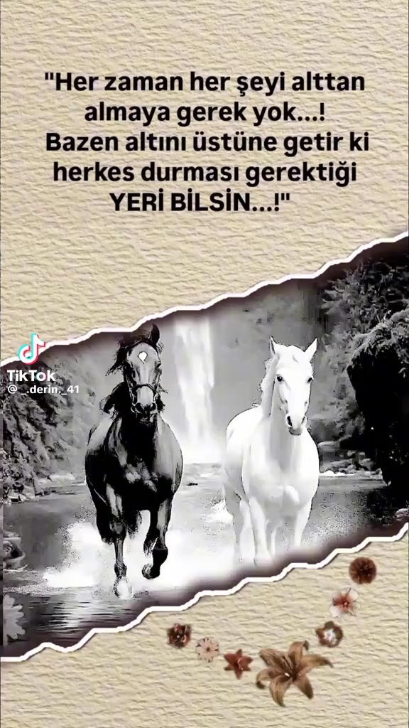 @unal ayhan