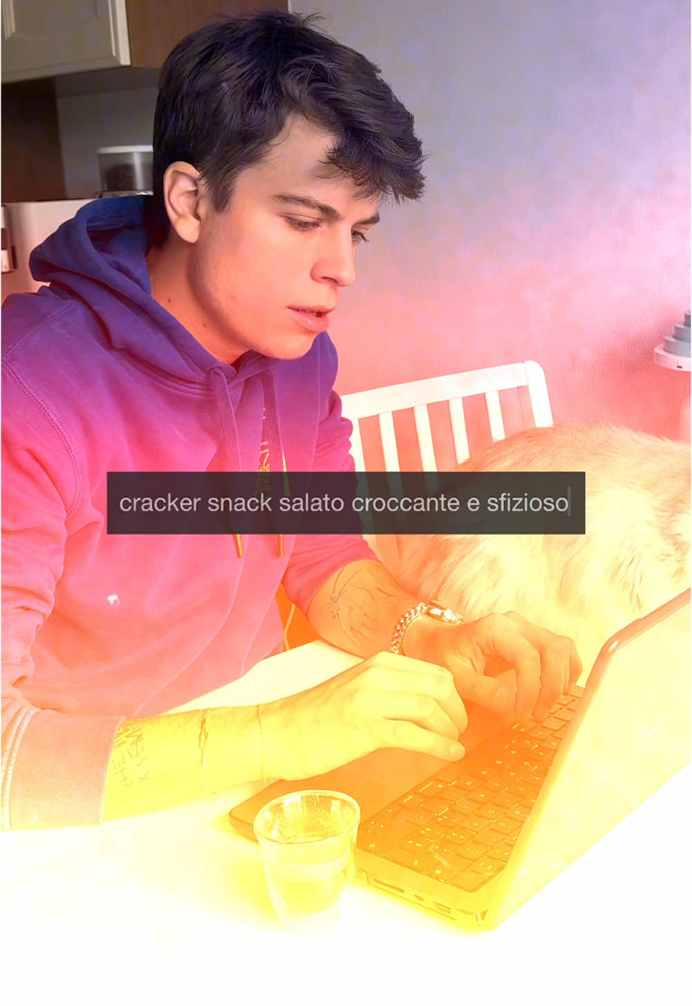 @Jody Cecchetto