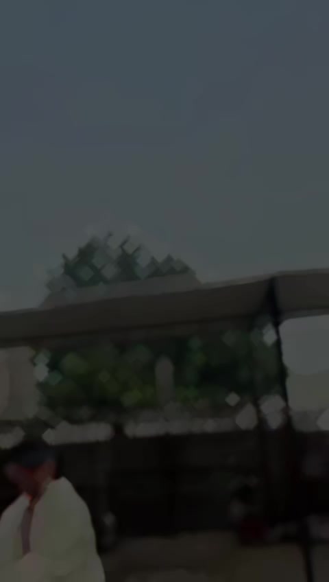 @talhaiali3